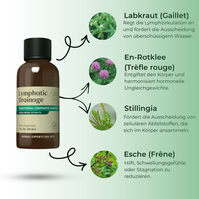 Lymvita™ Flüssige Lymphdrainage – Verfeinertes Gesicht, leichte Beine, flacher Bauch
